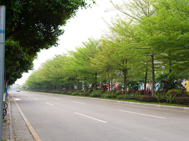 郑州市园林规划局